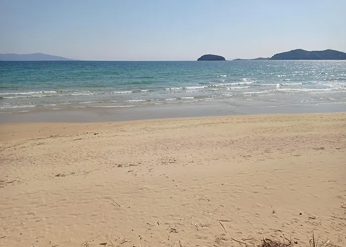 Alpha Delta Pool Apartament *